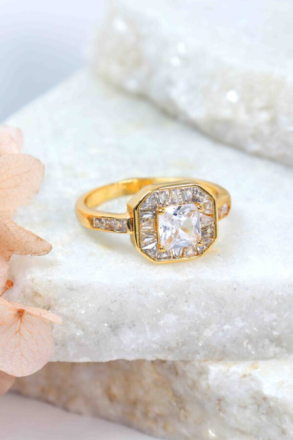 1_6ed51d84-403e-40f7-9498-8c7870b3c043 1_6ed51d84-403e-40f7-9498-8c7870b3c043