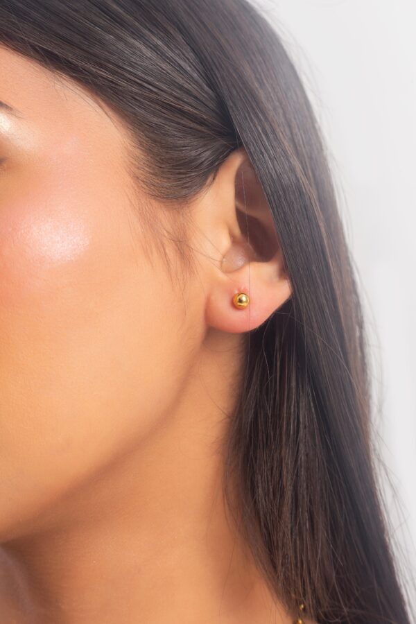 IMG_0086copy_1 IMG_0086copy_1