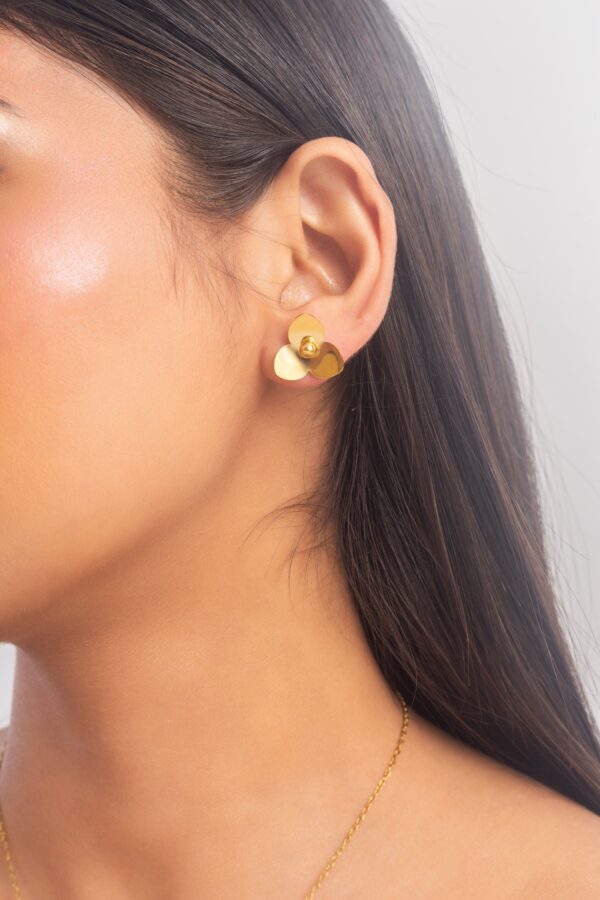 IMG_0145copy_1e6fde58-66a0-4079-b904-715647ece161 IMG_0145copy_1e6fde58-66a0-4079-b904-715647ece161